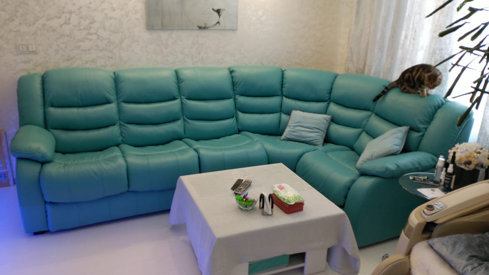 Перетяжка дивана на дому. Мураши